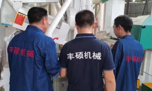 现代大米加工设备功能特点与技术革新探析